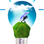 Bulb